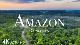 Amazon in 4K  The World’s Largest Tropical Rainforest  Aerial Drone  Scenic Relaxation Film [upl. by Dovev]