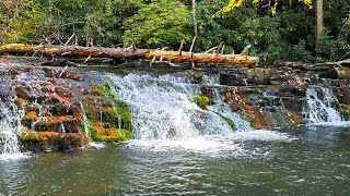 Waterfall Creek Fishing [upl. by Anialed447]