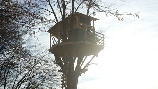 Building an Amazing Treehouse [upl. by Isyed]