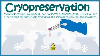 Cryopreservation  application and mechanism [upl. by Eirrot]