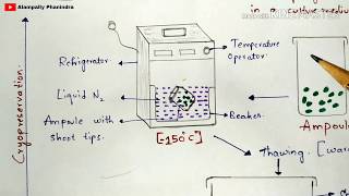 Cryopreservation technique with notes  Diagrammatic procedure  Applications  Bio science [upl. by Acinorej]