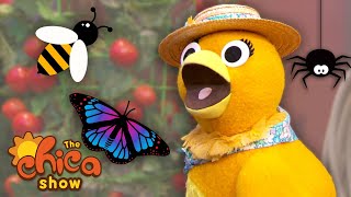 Chica Learns About Bugs 🐛 The Chica Show  Universal Kids Preschool [upl. by Loux]