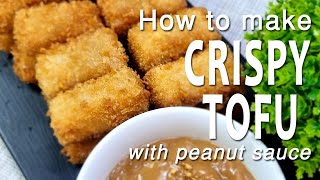 HOW TO MAKE CRISPY TOFU with PEANUT SAUCE  TOFU RECIPE  BUDGET AND EASY RECIPE [upl. by Heise]