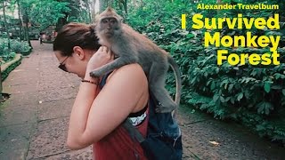 Sacred Monkey Forest Ubud Bali 🇮🇩 Indonesia [upl. by Hailahk434]