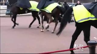 Police Taser Man with knives at Buckingham Palace [upl. by Elleahcim837]