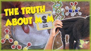 The truth about MSM Does it really make your hair grow [upl. by Amby239]