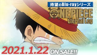 ONE PIECE Eternal Log 東の海編 夢PV [upl. by Attaynek]