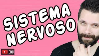 SISTEMA NERVOSO  FISIOLOGIA  Aula  Biologia com Samuel Cunha [upl. by Namwob]