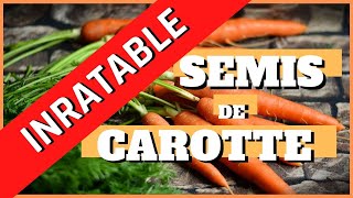 semis de carottes inratable [upl. by Ekeiram608]