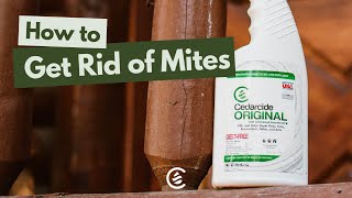 How to Get Rid of Mites  Cedarcide [upl. by Eenhat874]