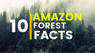 10 Amazing facts About Amazon Rainforest [upl. by Georgie]