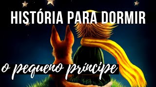 História para Dormir Pequeno Príncipe 12 [upl. by Yreffoeg]