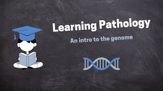 Pathology Introduction Lecture [upl. by Releyks]