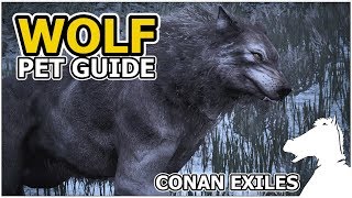 WOLF  Pets Guide  CONAN EXILES [upl. by Oiligriv]