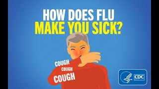 How Does Flu Make You Sick [upl. by Alex305]