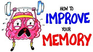 How To Improve Your Memory RIGHT NOW [upl. by Ialocin]