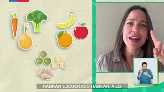 AprendoTV  Ciencias Naturales 3° y 4° básico Capítulo 20 [upl. by Ulani]