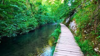 Dovedale to Milldale 26th Best British Walk English Countryside 4K [upl. by Letta]