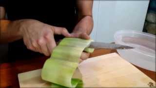 Cucumber Sushi Roll Recipe  Japanese Food Recipe [upl. by Enomor274]