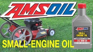 AMSOIL Synthetic Small Engine Oil 10W30 amp Fuel Stabilizer [upl. by Latsyrcal700]