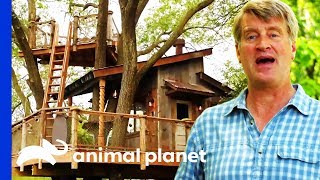 Building An Unbelievable Rustic River Treehouse  Treehouse Masters [upl. by Hudis]