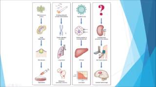 Pathology  Introduction and disease nomenclature [upl. by Aihsi]