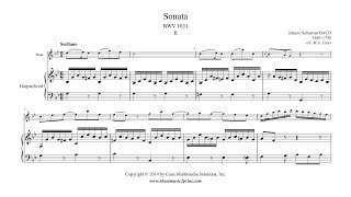 Bach  Siciliano from Sonata BWV 1031  Flute [upl. by Nahaj853]