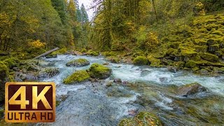 Beautiful Nature Video in 4K Ultra HD  Autumn River Sounds  5 Hours Long [upl. by Emearg]