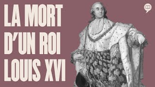 Mort de Louis XVI  HNLD Révolution française tome 11 Série 1 [upl. by Venita]