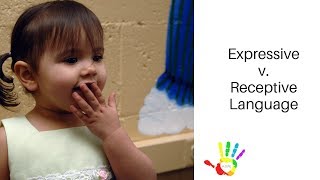 Receptive versus Expressive Language [upl. by Lynn]