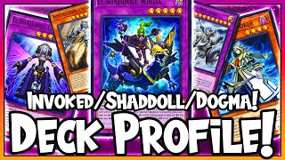 Invoked Shaddoll Dogmatika DECK PROFILE YuGiOh Master Duel Deck Profiles TipsTricksInfo [upl. by Noit]