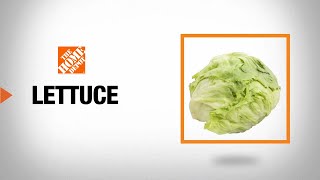 Types of Lettuce  The Home Depot [upl. by Orfurd542]