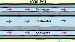 How Desalination Works [upl. by Annaicul]