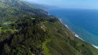 A breathtaking tree house hotel in Big Sur California [upl. by Efron]