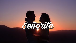 Shawn Mendes amp Camila Cabello  Señorita Lyrics [upl. by Airat]