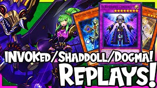 Invoked Shaddoll Dogmatika YuGiOh Master Duel Platinum Rank Replays Info in Description [upl. by Aihseym]