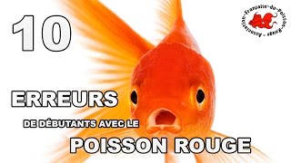 Poisson rouge  10 erreurs de débutant [upl. by Sueahccaz]