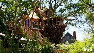 Behind the Build Bird Nest Tree  Treehouse Masters [upl. by Pollard]