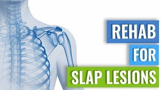 Rehab for SLAP Lesions [upl. by Ramsay]