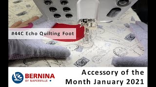 BERNINA Echo Quilting and CutWork Foot 44C [upl. by Katsuyama]