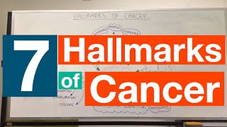 Hallmarks of Cancer  Pathophysiology [upl. by Rennug]