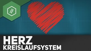 Das Herz und sein Kreislaufsystem [upl. by Cornelius]