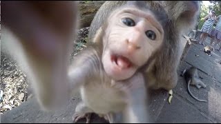 UBUD MONKEY FOREST  Bali Indonesia [upl. by Angle194]