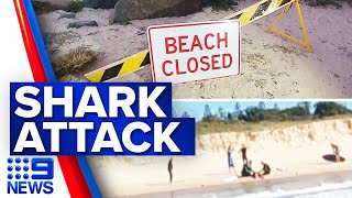 Fourmetre great white spotted after man killed in shark attack  9 News Australia [upl. by Gonzalez427]