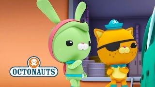 Octonauts Gup A [upl. by Cass]