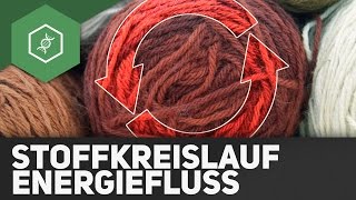 Stoffkreisläufe und Energiefluss  Ökologie [upl. by Isacco162]