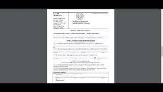 How to File an LLC in Texas 5 Mins [upl. by Warrick]