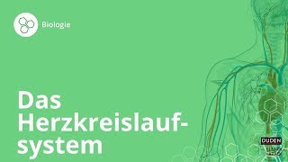 Das Herzkreislaufsystem So funktionierts – Biologie  Duden Learnattack [upl. by Nnaxor]