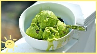 EAT  Mint Chocolate Chip Frozen Yogurt [upl. by Panta965]