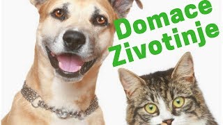 Zvuci domacih zivotinja [upl. by Tronna259]